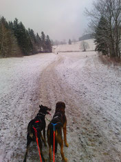 Mieke und Dusty; Foto: Pia Grosch