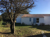 Cliquez pour découvrir