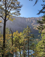 Waldlandschaft mit Blick auf den See – GPS-Teamtour als Outdoor-Erlebnis mit Fokus auf Navigation, Zusammenarbeit und Achtsamkeit.