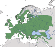 Karte zur weltweiten Verbreitung der Familie der Meisen (Paridae).