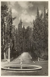 г. Сочи. Худяковский парк. 1935г.