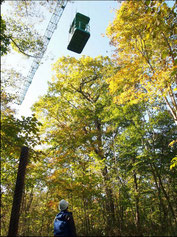 Tomakomai Experimental Forest