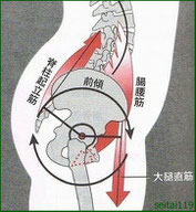 骨盤の前傾