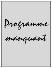 2010-07-23  Legia Varsovie-PSG (Amical à Florence, Programme manquant)