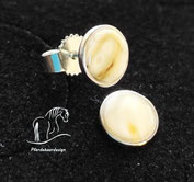 Ohrstecker mit Pferdezahn 925 Silber