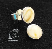 Ohrstecker mit Pferdezahn 925 Silber