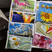 Foto Bilder blumen karten 