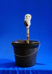 Recherche en cours, association d'objets.