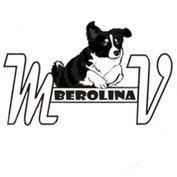 (c) MV Berolina