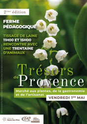 marche-aux-plantes, marche-artisanat, produits-terroirs