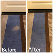Carpet Bleach Stain Restoration Carpet Dyeing By Dyebold