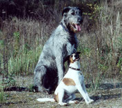 Carlchen und Leo 2001