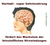 neue Infoseite zu Haritaki - readyforyoga - Online Shop für Vitalität