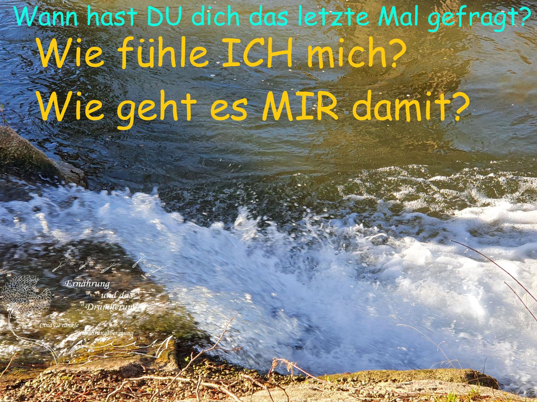 Wie fühle ICH mich?! Cindy Fränkle Bewegung, Entspannung, Ernährung