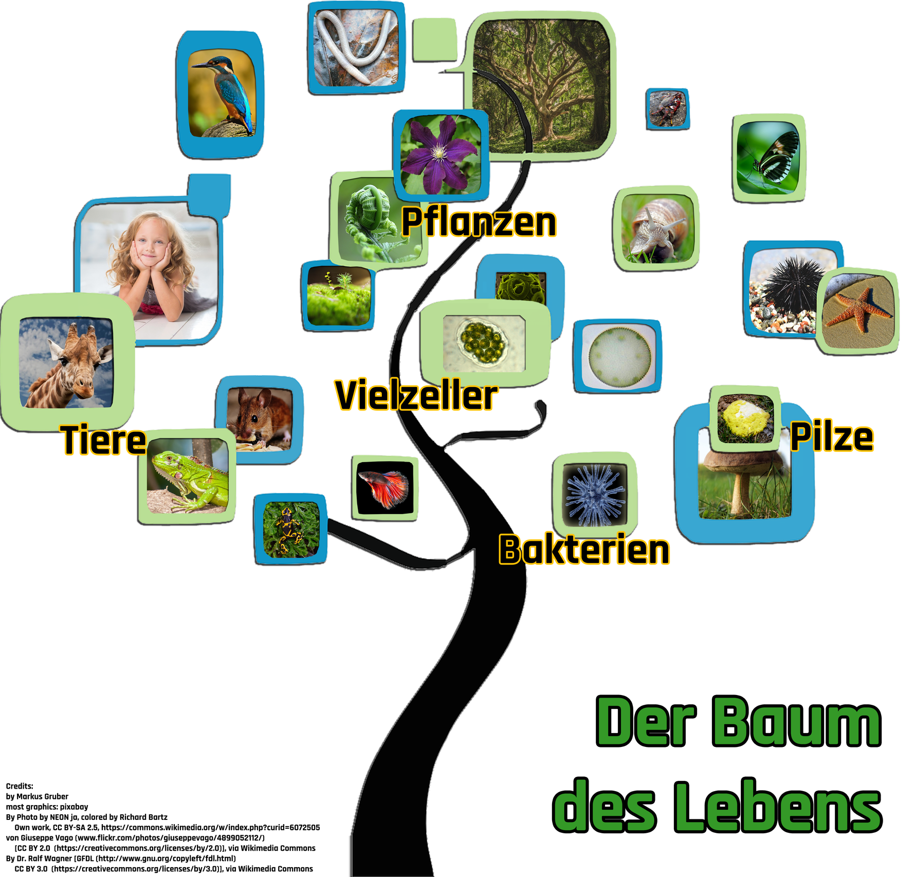 Was ist Biologie? biohist Links und Infos für Schüler