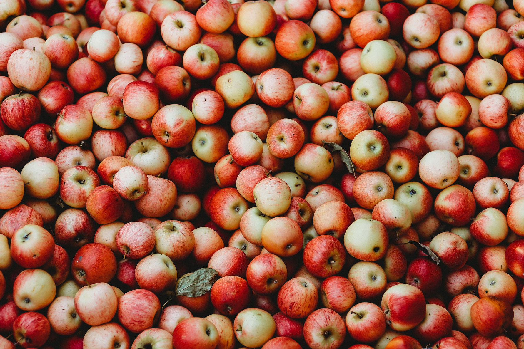 Apfel