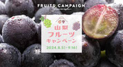 山梨県懸賞-やまなしぶどう-プレゼント