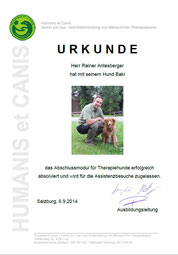 Abschlussmodul für Therapiehunde und Zulassung für Assistenzbesuche
