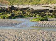 Große Steine mit Moos am Strand mit kleinem Priel