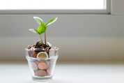 Young plant sprouting from coins, representing growth, value and long-term investment
