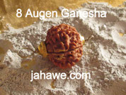 Ganesha Rudraksha