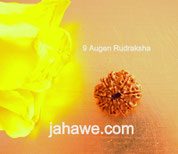 9 Augen Rudraksha 99,--