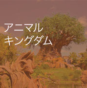 巨大な「ツリー・オブ・ライフ」が象徴的に立つディズニー・アニマルキングダムの風景。サファリ体験でライオンやゾウなどの野生動物に出会えるほか、『アバター』をテーマにした「パンドラ」エリアでは壮大な世界観を楽しめる。自然と冒険が融合したユニークなテーマパークとして、訪れる人々に特別な体験を提供している