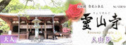 2021/07 TICKET