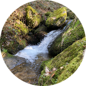Gaishöll Wasserfälle in Sasbachwalden