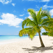 Palme am Strand, Meer, blauer Himmel mit Wolken