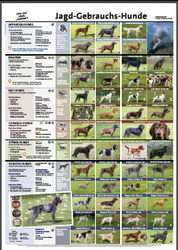 Jagdhunde Übersicht Tabelle Plakat