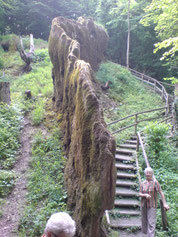 Der wachsende Felsen