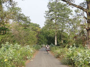Petite route de la réserve