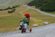 Up&Down mountain. Foto di Davide Torri