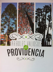 Árboles valiosos de Providencia