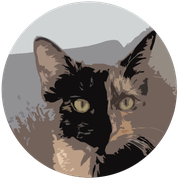 Schildpat-Katze