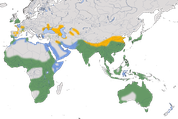 Karte zur Verbreitung des Seidenreihers (Egretta garzetta)