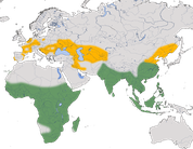 Karte zur Verbreitung des Purpurreihers (Ardea purpurea)