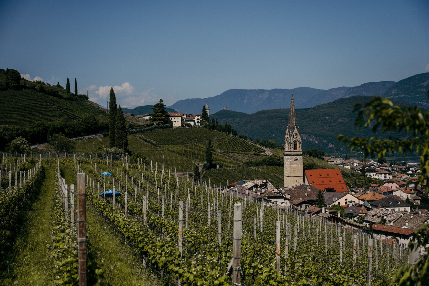 GEWÜRZTRAMINERWEG - Wandertipp: Weinwandern in Tramin an der Weinstrasse - Südtirol ©Marika Unterladstätter _fullwidth-story-splash