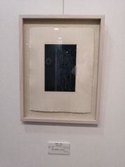 夜　花 楮紙に銅版画 ／雁皮刷り   180×120mm　23,100円（税込）