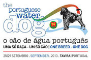 the portuguese waterdog-Tavira, Portugal 2013