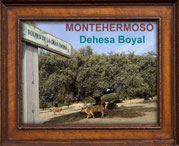Guía Dehesa Boyal