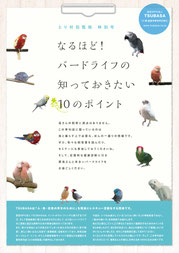 とり村回覧板　特別号