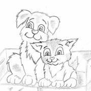 das Beste für Hund und Katz