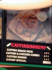 Catfishsnack - sehr lecker!