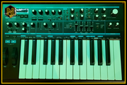 Nancy Berie's Synthesizer