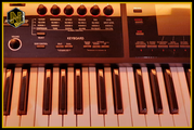 Nancy Berie's Synthesizer