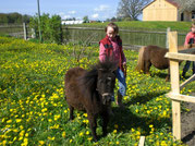 Frühling auf der Vierbruckmühle