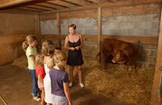 ferme Bio du Masbareau en Limousin Haute-Vienne-Nouvelle-Aquitaine