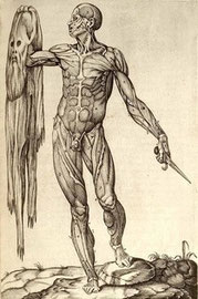 Roma, 1559. Grabado del Copperplate. Biblioteca nacional de la medicina. Juan Valverde de Amusco (ca. 1525 - ca. 1588) [anatomista]Cadaver con su piel en una mano y un cuchillo de disección en la otra.